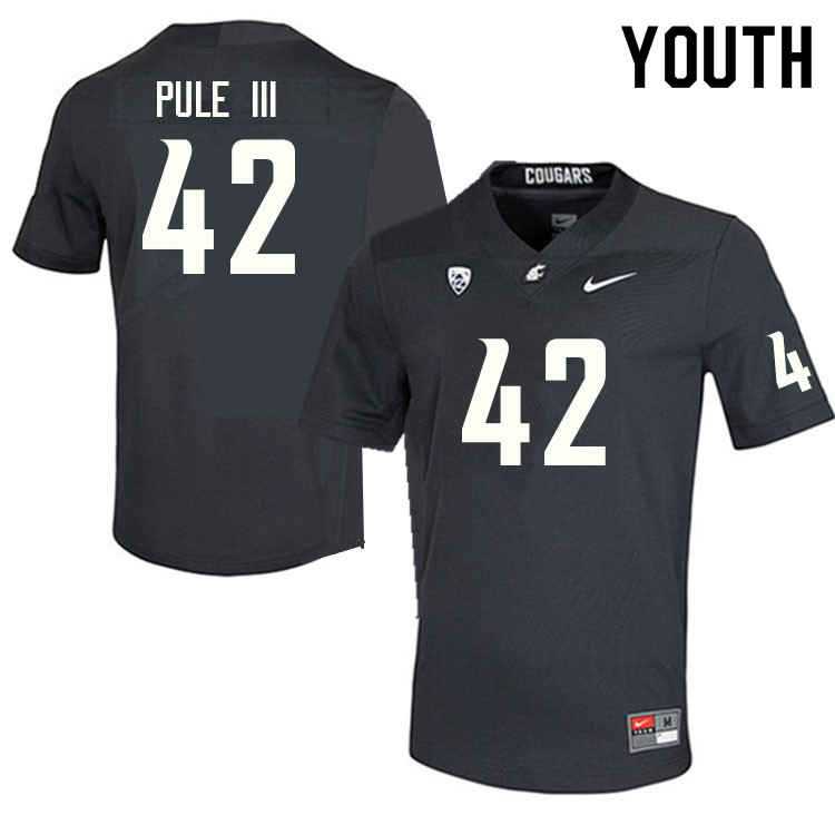 Youth #42 Antonio Pule III Washington State Cougars College Football Jerseys Sale-Charcoal